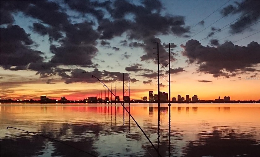 Where else and you be on canal front property for this price? - Beach Home for sale in Tampa, Florida on Beachhouse.com