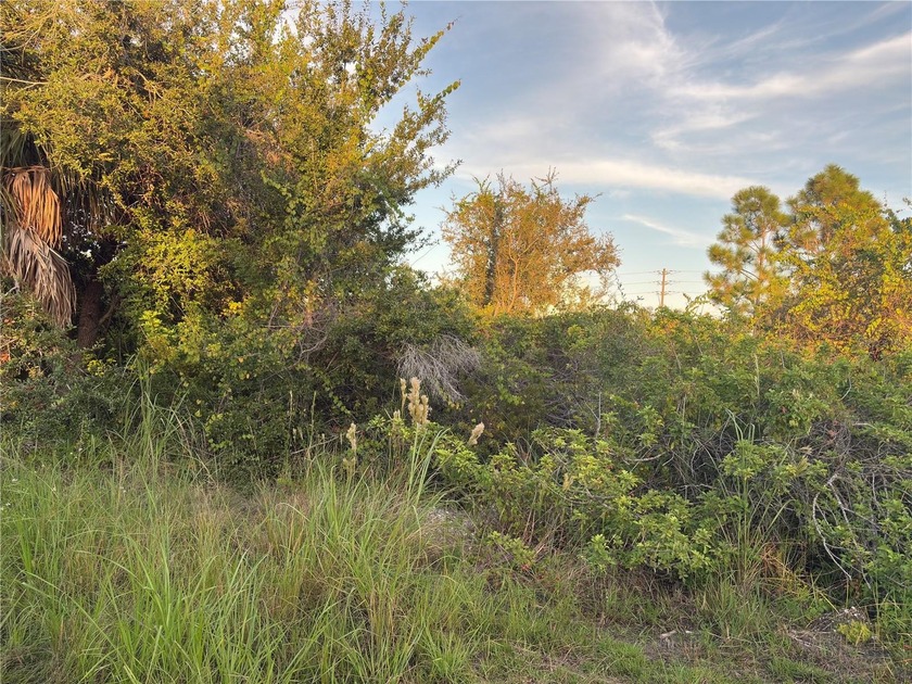 Build your dream home on this amazing, well-treed lot situated - Beach Lot for sale in Port Charlotte, Florida on Beachhouse.com
