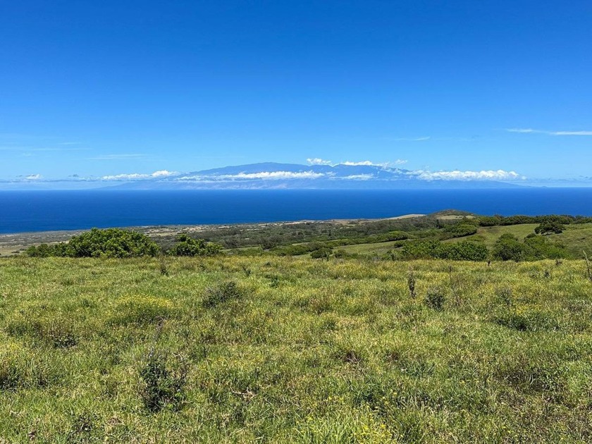 185 rolling acres on the west facing slope of Kohala Mountain - Beach Acreage for sale in Hawi, Hawaii on Beachhouse.com