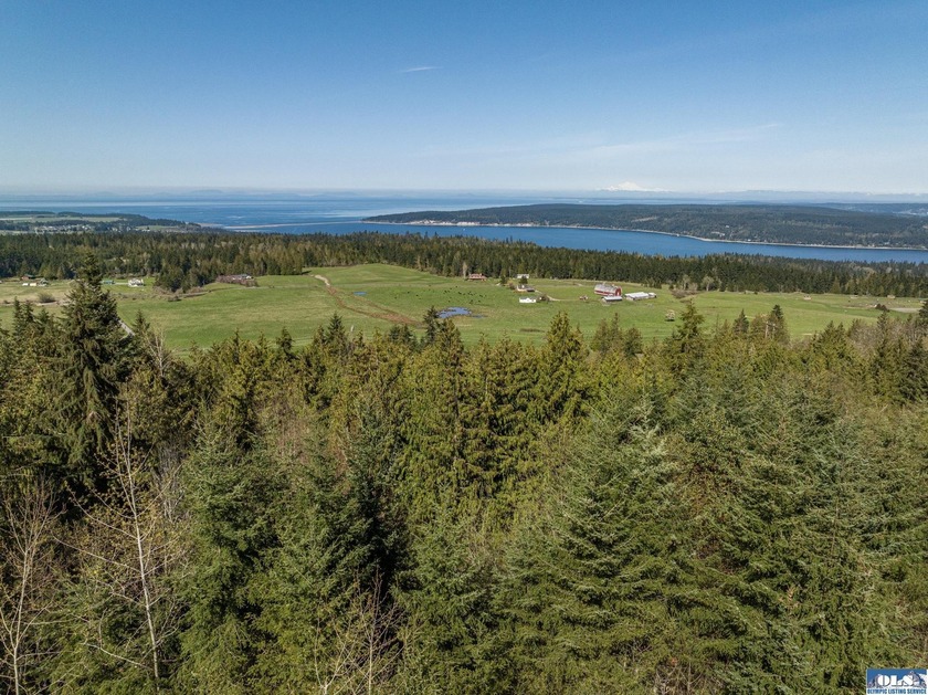 Lots of trees and privacy, in this gated community! Remove some - Beach Acreage for sale in Sequim, Washington on Beachhouse.com