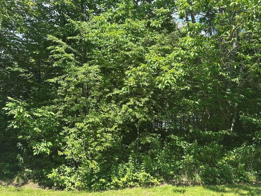 Conveniently located just minutes from unforgettable downeast - Beach Lot for sale in Hancock, Maine on Beachhouse.com