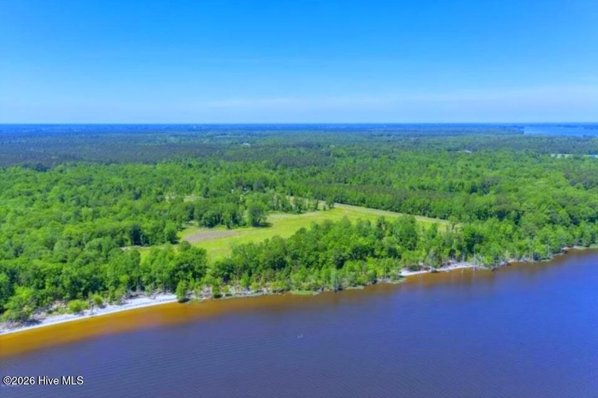 **RARE AND UNBELIEVABLE CHANCE TO OWN** 65 ACRES OF PREMIER - Beach Acreage for sale in Blounts Creek, North Carolina on Beachhouse.com
