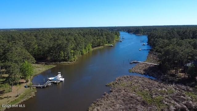 Welcome home to a splendid waterfront homesite with beautiful - Beach Acreage for sale in Merritt, North Carolina on Beachhouse.com