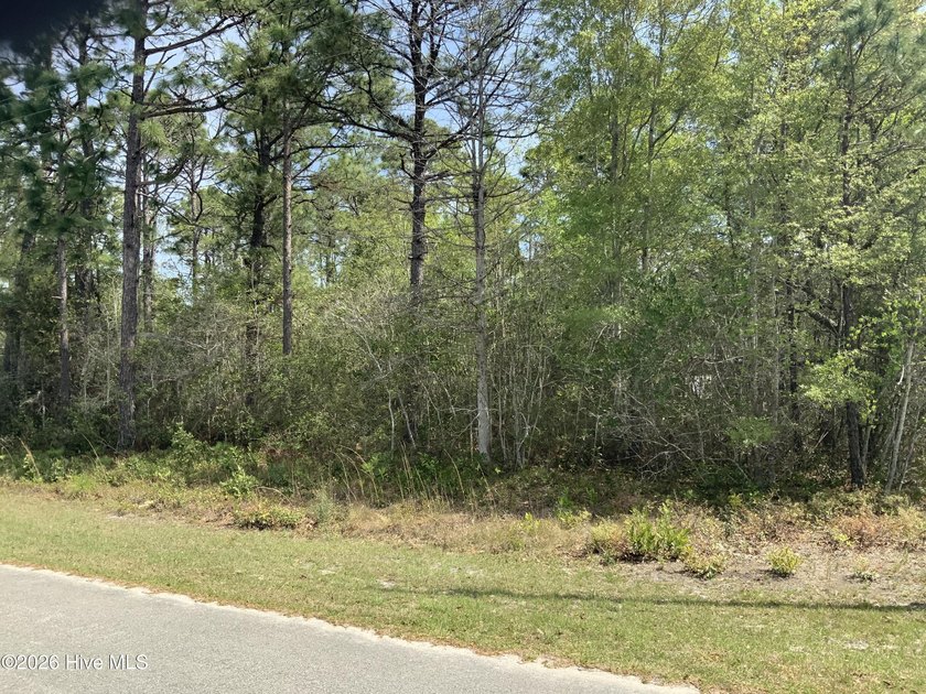 Rare 3-Lot Opportunity in Shallotte! 0.5 acres with room for a - Beach Lot for sale in Shallotte, North Carolina on Beachhouse.com
