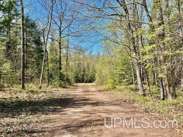 Pick your address!  This 69.2 acreage parcel has frontage on - Beach Acreage for sale in Ironwood, Michigan on Beachhouse.com