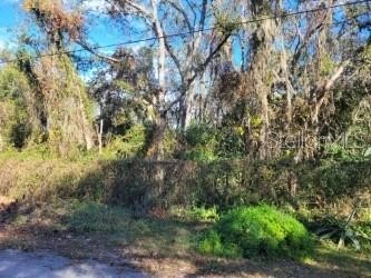 Prime 0.18-Acre Lot in Moon Lake Estates - Ideal for Your Dream - Beach Lot for sale in New Port Richey, Florida on Beachhouse.com