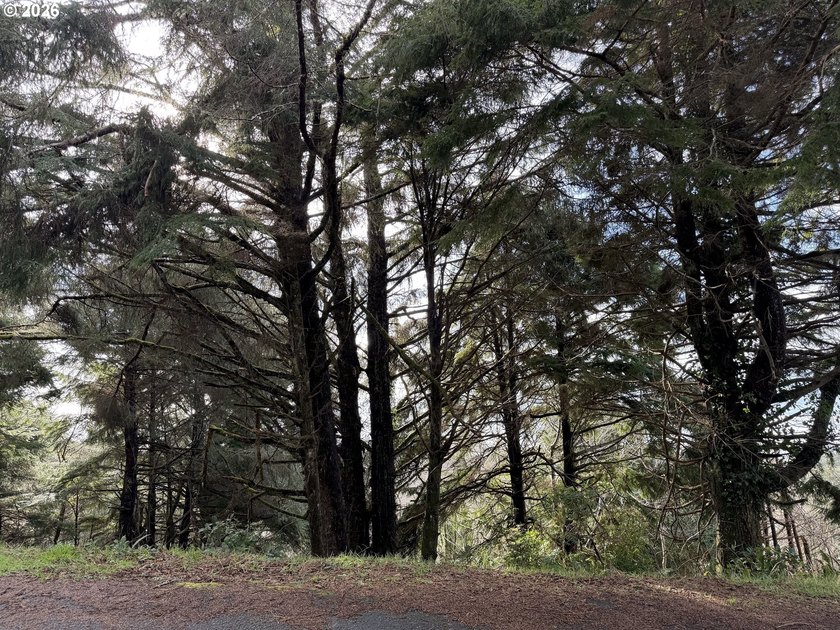A million dollar View! Sensational lot with sweeping views of - Beach Lot for sale in Rockaway Beach, Oregon on Beachhouse.com