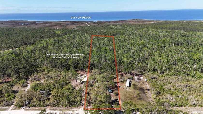 LOT LINES ARE APPROXIMATE. Check out this amazing 5.11+- acre - Beach Acreage for sale in Perry, Florida on Beachhouse.com
