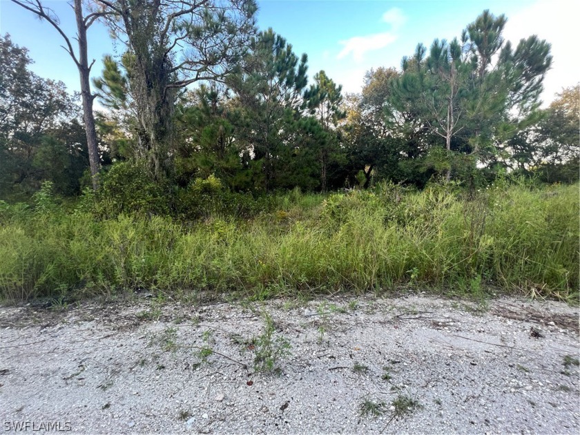 Gulf access canal lot located in a remarkable quiet area of - Beach Lot for sale in Punta Gorda, Florida on Beachhouse.com
