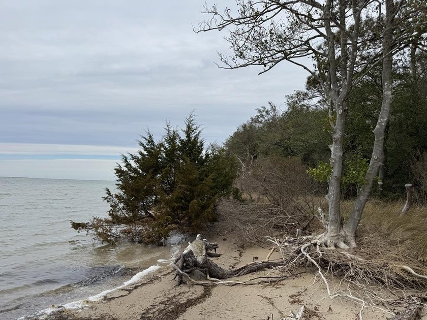 Waterfront lot located in Cedar Grove Acresmunity is located on - Beach Lot for sale in Painter, Virginia on Beachhouse.com