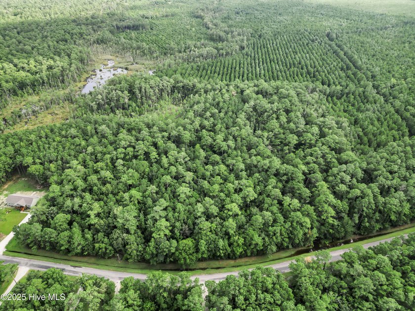 Build your dream home in the peaceful and sought after Sandy - Beach Acreage for sale in Beaufort, North Carolina on Beachhouse.com