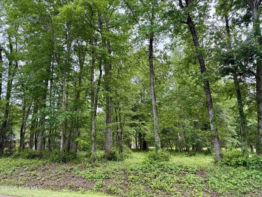 Don't miss this opportunity to build your dream home on a - Beach Lot for sale in Carolina Shores, North Carolina on Beachhouse.com
