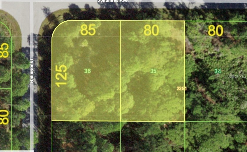 Fantastic DOUBLE LOT located in beautiful Port Charlotte--the - Beach Lot for sale in Port Charlotte, Florida on Beachhouse.com