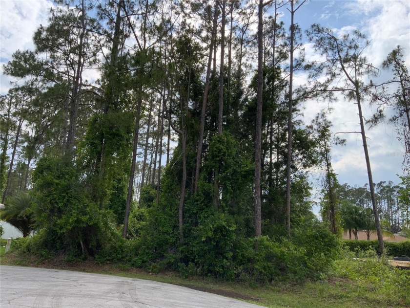 Welcome to this beautiful vacant lot that offers a serene and - Beach Lot for sale in Palm Coast, Florida on Beachhouse.com