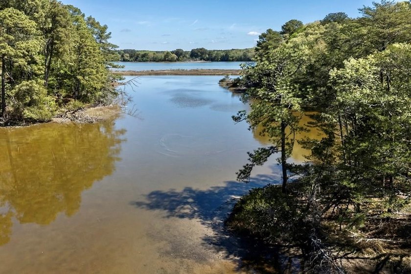 Escape to 8.3 acres of peaceful waterfront in Belle Haven - Beach Acreage for sale in Belle Haven, Virginia on Beachhouse.com