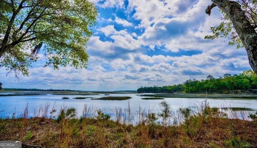 Sadlers Creek Bluff at Sheffield Island is an exceptional - Beach Acreage for sale in Woodbine, Georgia on Beachhouse.com