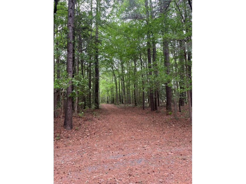 3+ acre buildable waterfront lot in the desirable, high-end Red - Beach Acreage for sale in Melfa, Virginia on Beachhouse.com