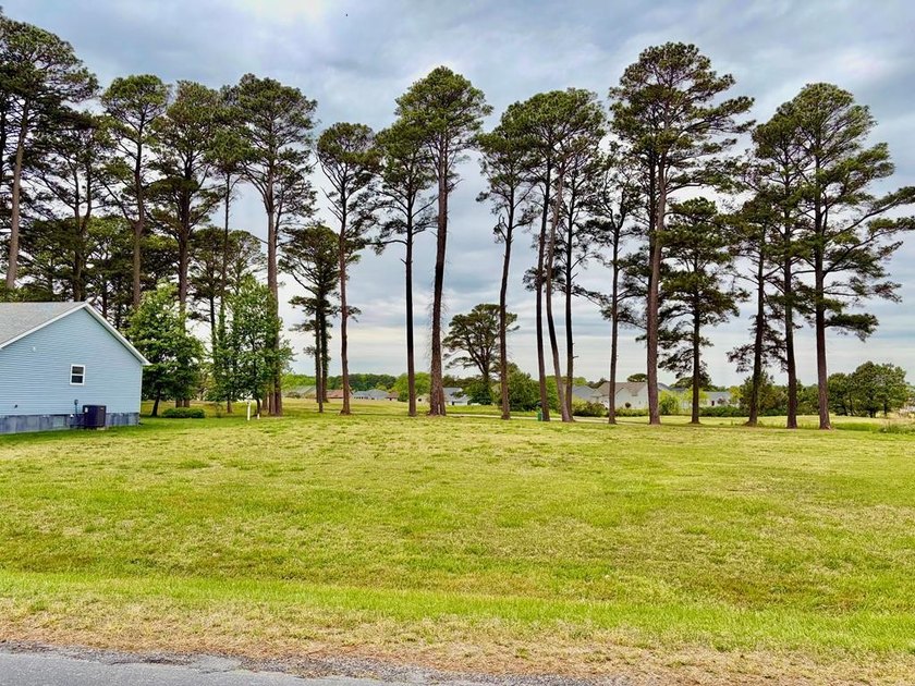 Cleared GOLF COURSE lot on the 2nd Tee just waiting for you to - Beach Lot for sale in Greenbackville, Virginia on Beachhouse.com