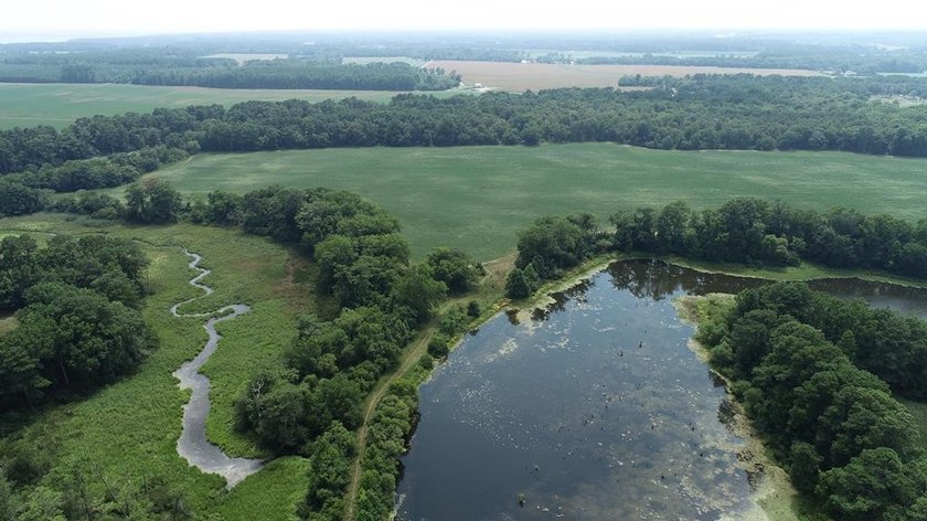 Rare and remarkable over 160 acre dual-water property featuring - Beach Acreage for sale in Parksley, Virginia on Beachhouse.com