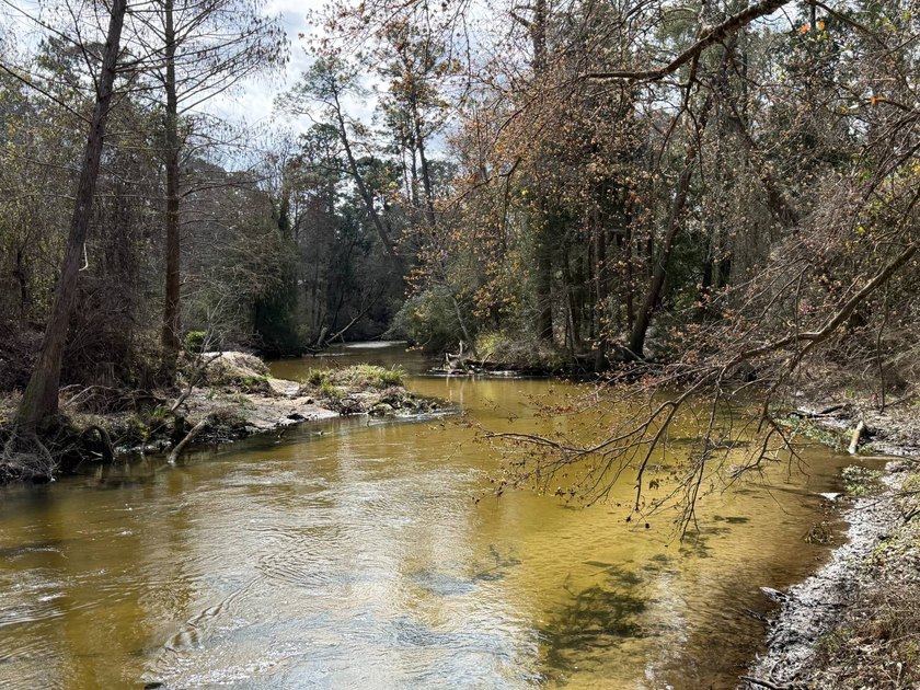22.79 Acres of paradise located on the upper part of Fish River - Beach Acreage for sale in Fairhope, Alabama on Beachhouse.com