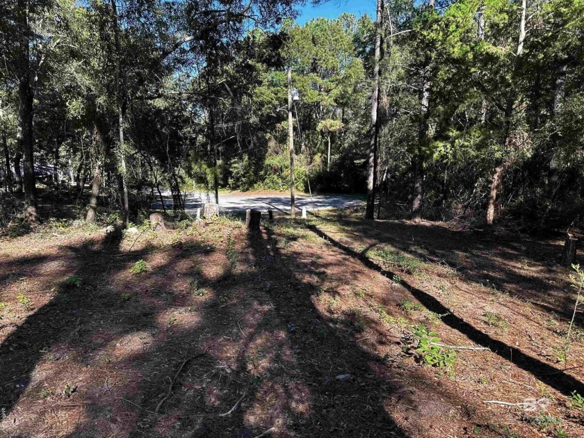 Come check out this great cul-de-sac lot in Lake Forest!   Buyer - Beach Lot for sale in Daphne, Alabama on Beachhouse.com