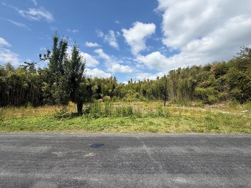 Discover the potential of this .24-acre lot ideally located near - Beach Lot for sale in Atlantic, Virginia on Beachhouse.com