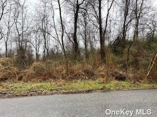 Calling All Investors - Residential Lot For Sale .14 in Mastic - Beach Lot for sale in Mastic Beach, New York on Beachhouse.com