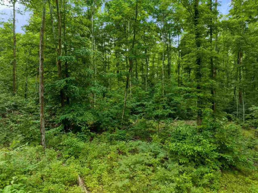 This beautiful wooded 80 acre parcel is located close to Crooked - Beach Lot for sale in Petoskey, Michigan on Beachhouse.com