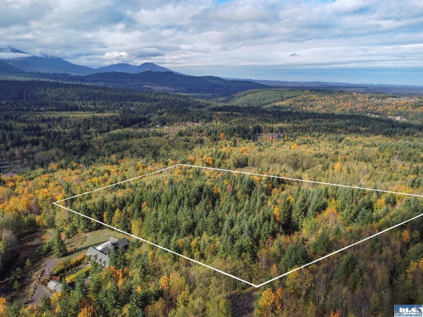You'll enjoy absolute privacy from this 20-acre parcel in Blue - Beach Acreage for sale in Port Angeles, Washington on Beachhouse.com