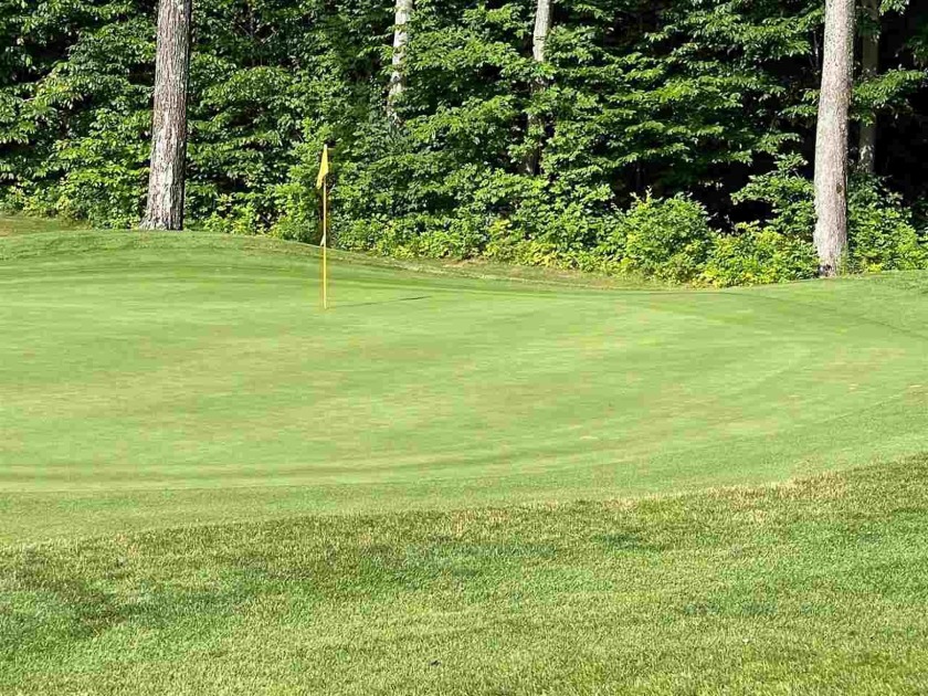 Located on the 6th green of the Chestnut Valley Golf Course - Beach Lot for sale in Harbor Springs, Michigan on Beachhouse.com