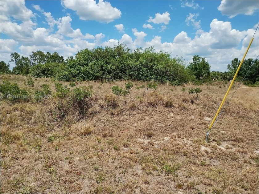 Zoning change to Commercial Lists of permissible businesses and - Beach Lot for sale in North Port, Florida on Beachhouse.com