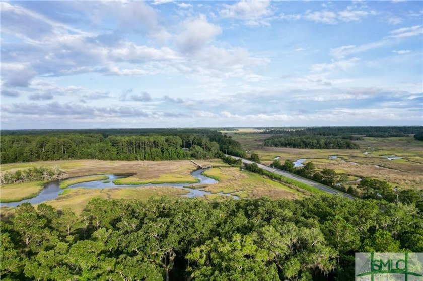 Gorgeous .848-acre lot w/ 62 ft of pristine marsh front offers - Beach Lot for sale in Townsend, Georgia on Beachhouse.com
