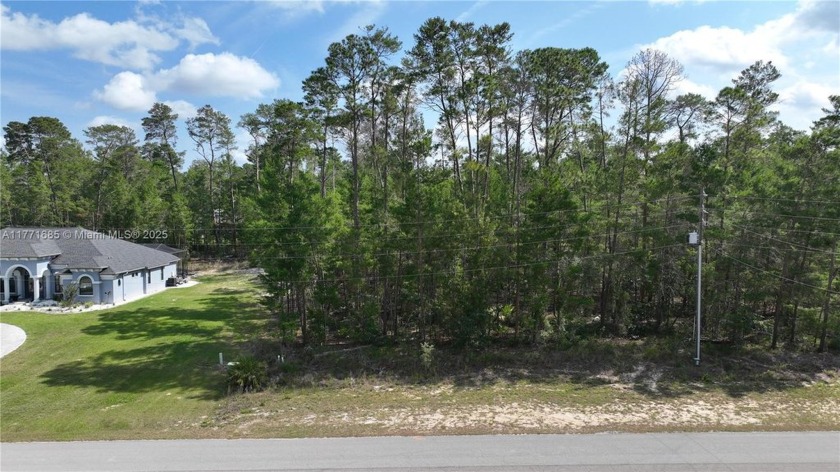 Great investment opportunity! This 0.35-acre lot is located in a - Beach Lot for sale in Homosassa Springs, Florida on Beachhouse.com