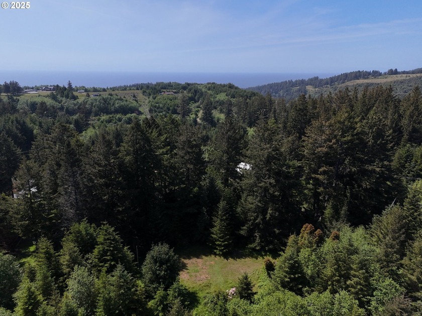 Over 6 Acres of Private, Tranquil and Useable Property. This - Beach Lot for sale in Brookings, Oregon on Beachhouse.com