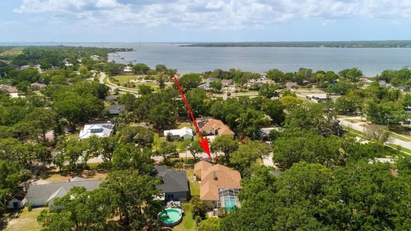 Stunning High  Dry 3-Bedroom, 2-Bath Pool Home!
Oversized 69X195 - Beach Home for sale in Oldsmar, Florida on Beachhouse.com
