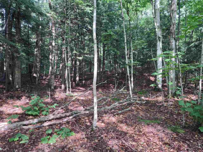 Beautiful two acre parcel nestled between Lake Michigan and - Beach Lot for sale in Eastport, Michigan on Beachhouse.com