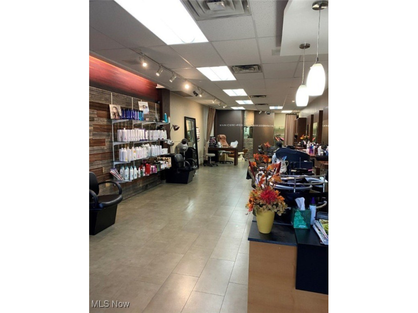 BUSINESS ONLY FOR SALE. Salon and spa for sale in the vibrant - Beach Lot for sale in Lakewood, Ohio on Beachhouse.com