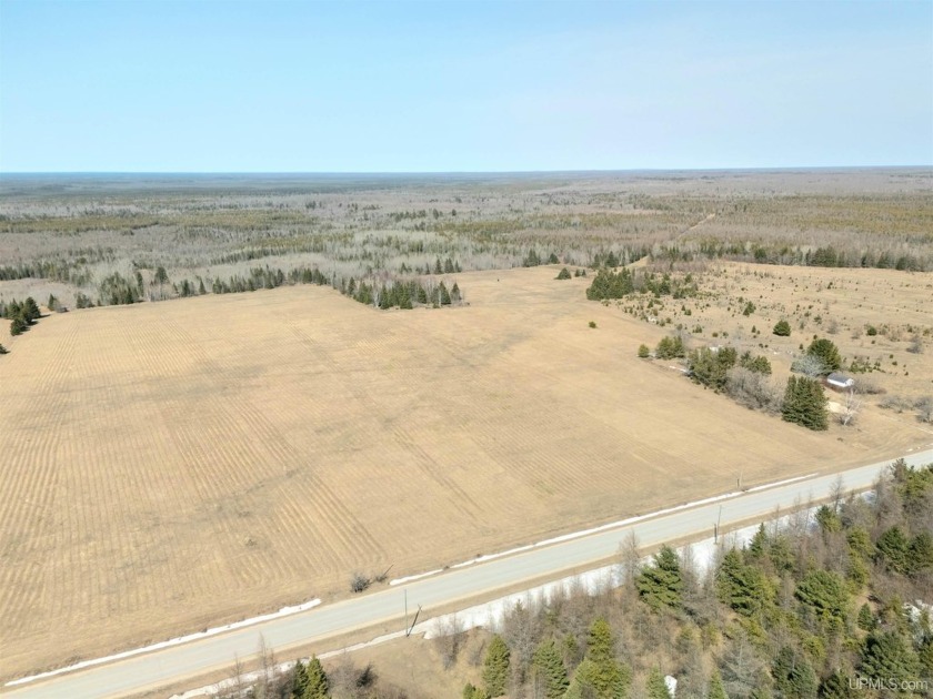 40 Acres of Opportunity - Gulliver, MI Located on a paved - Beach Acreage for sale in Gulliver, Michigan on Beachhouse.com