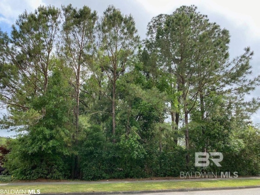 Purchase NOW/Take advantage of the numerous amenities/Build - Beach Lot for sale in Daphne, Alabama on Beachhouse.com