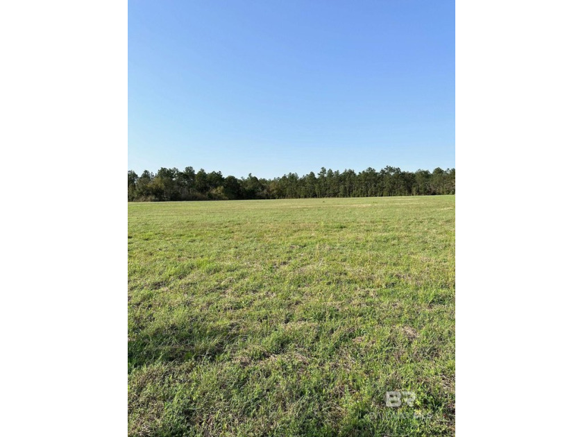 Amazing opportunity to build your country dream home on this - Beach Acreage for sale in Elberta, Alabama on Beachhouse.com