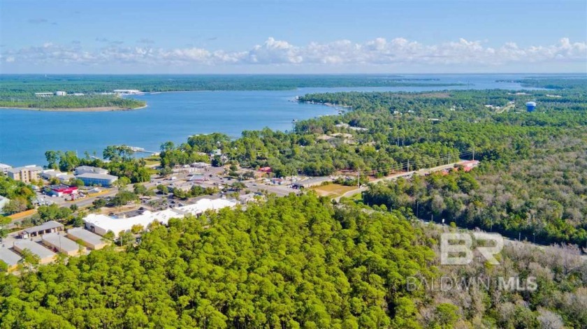 ATTN: DEVELOPERS & INVESTORS. ONE OF THE ONLY LARGE TRACTS OF - Beach Acreage for sale in Orange Beach, Alabama on Beachhouse.com