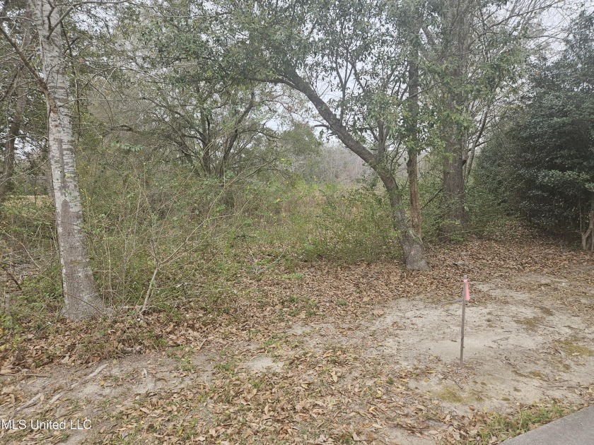 Rural acreage on paved road in a desirable area in the West - Beach Acreage for sale in Gulfport, Mississippi on Beachhouse.com
