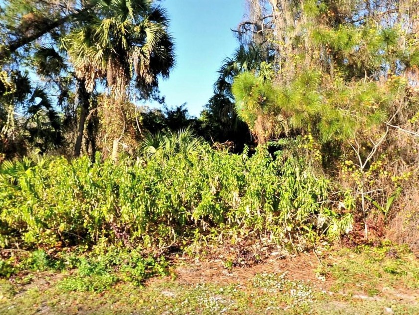 Discover the potential of this CITY WATER  spacious parcel has - Beach Lot for sale in North Port, Florida on Beachhouse.com