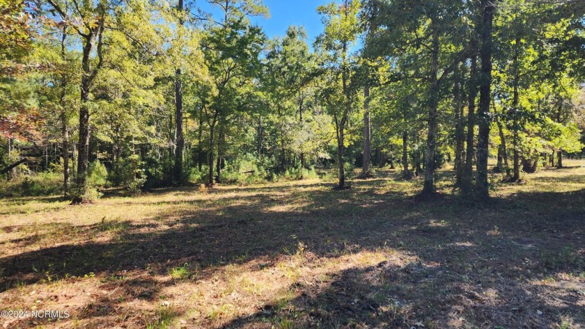 Mostly cleared building lot with septic permit in hand in - Beach Acreage for sale in Beaufort, North Carolina on Beachhouse.com