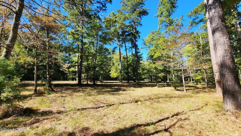 Mostly cleared 3.85 acre building lot with septic permit in hand - Beach Acreage for sale in Beaufort, North Carolina on Beachhouse.com