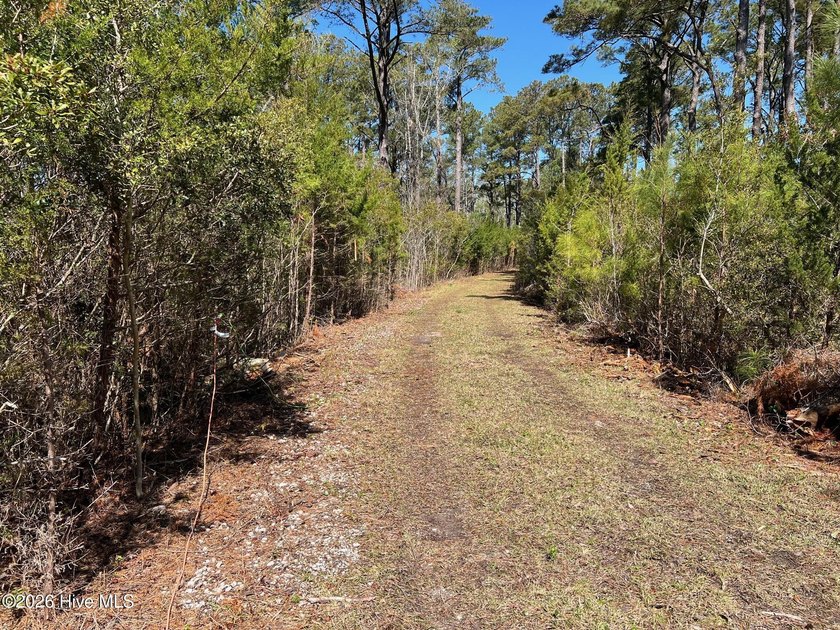 Property contains a 90 acre salt marsh and 1 mile of - Beach Acreage for sale in Sealevel, North Carolina on Beachhouse.com