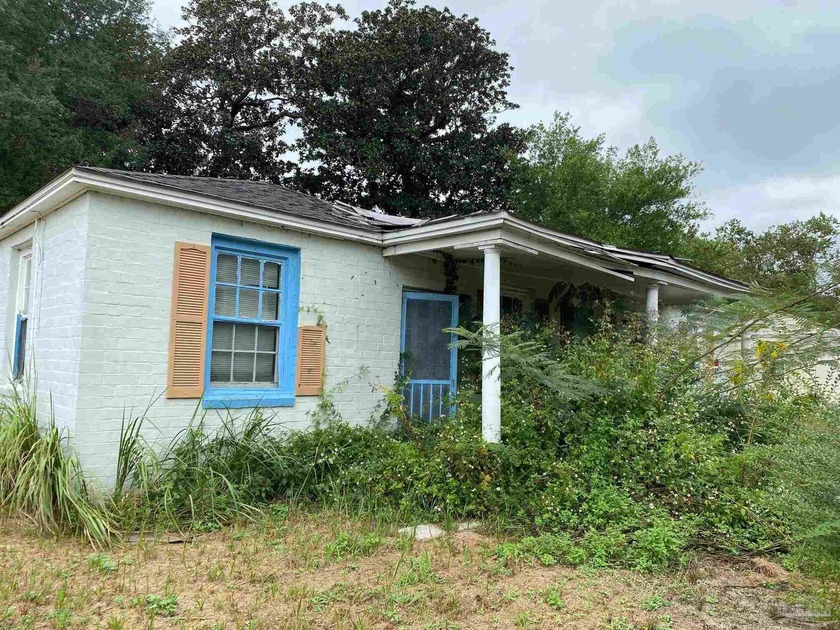 This OLD  House  Project.....Calling .. All  Do-It- Yourself - Beach Townhome/Townhouse for sale in Milton, Florida on Beachhouse.com