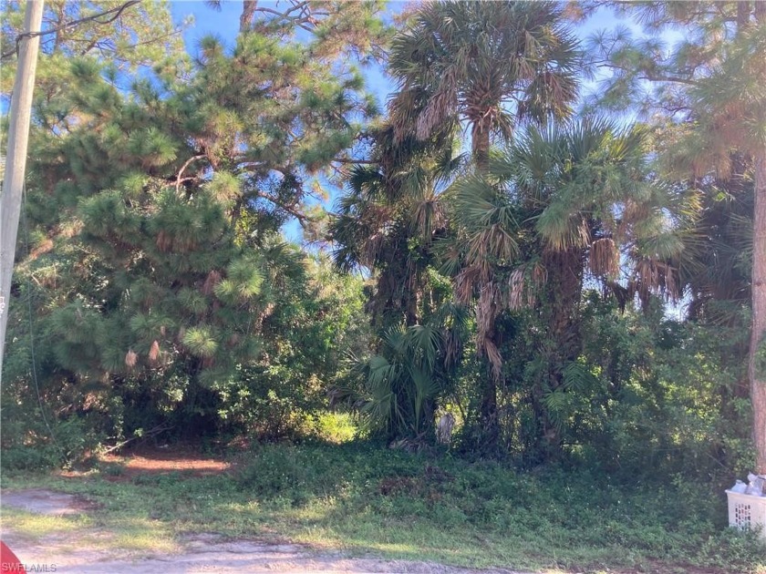 ***Location, Location, Location*** Close of intersection of - Beach Acreage for sale in Naples, Florida on Beachhouse.com