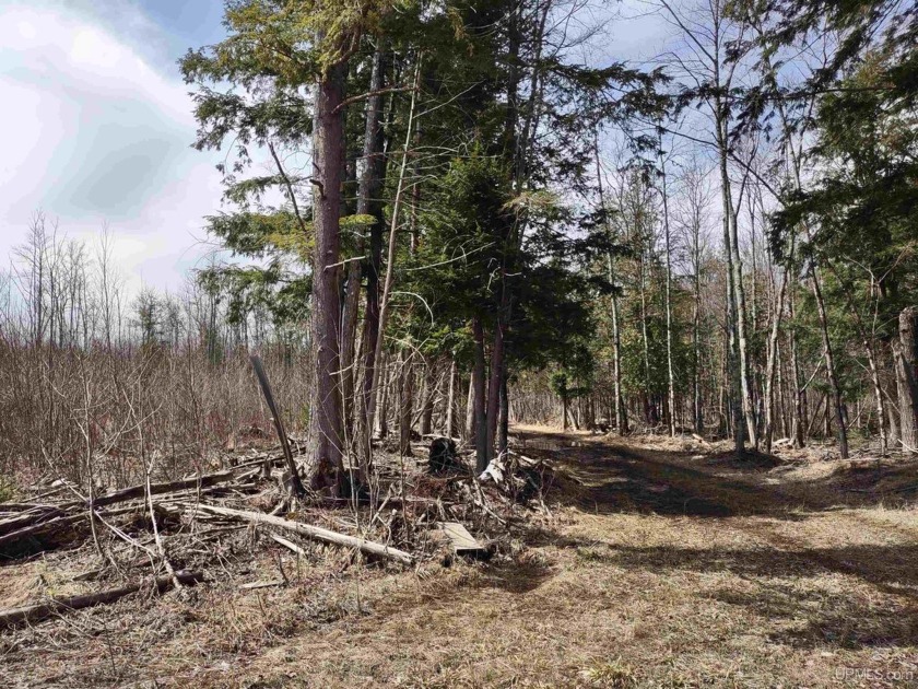 MICHIGAN 40 +/- ACRE PARCEL FOR SALE! It is in North-Central - Beach Acreage for sale in L Anse, Michigan on Beachhouse.com