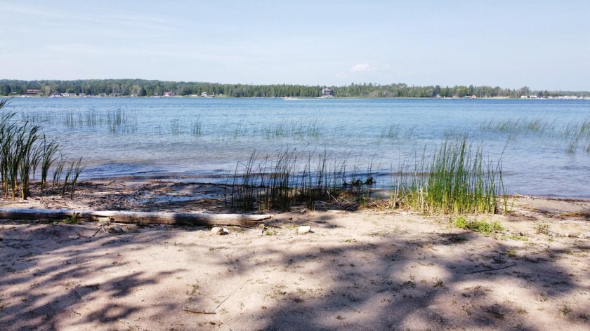 Outstanding Lasalle Island building lot offers an authentic - Beach Lot for sale in Cedarville, Michigan on Beachhouse.com